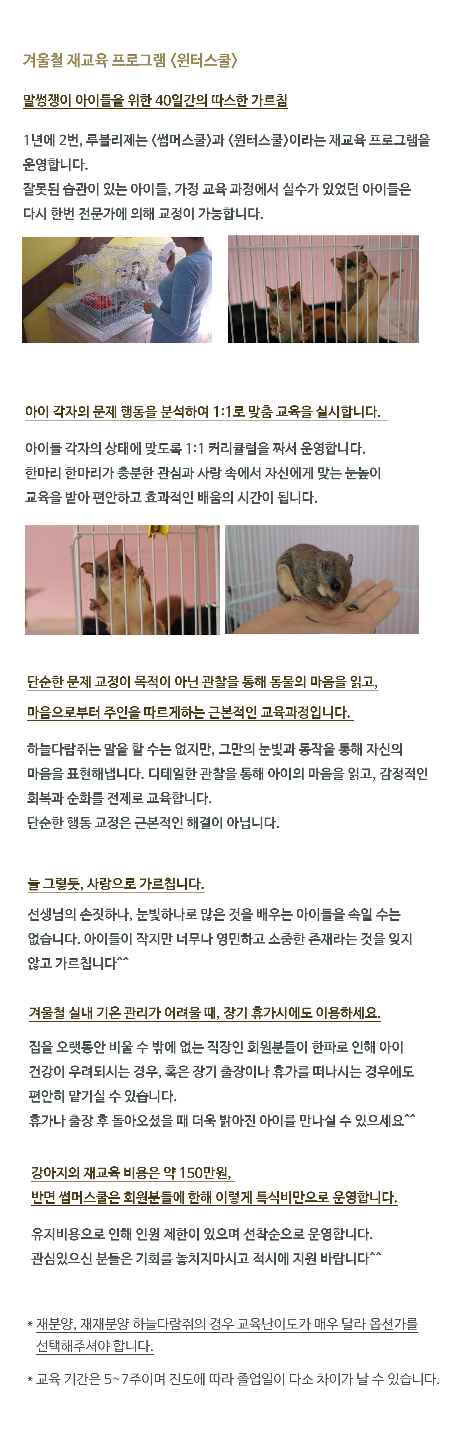 윈터스쿨 포토샵_루블리제.jpg