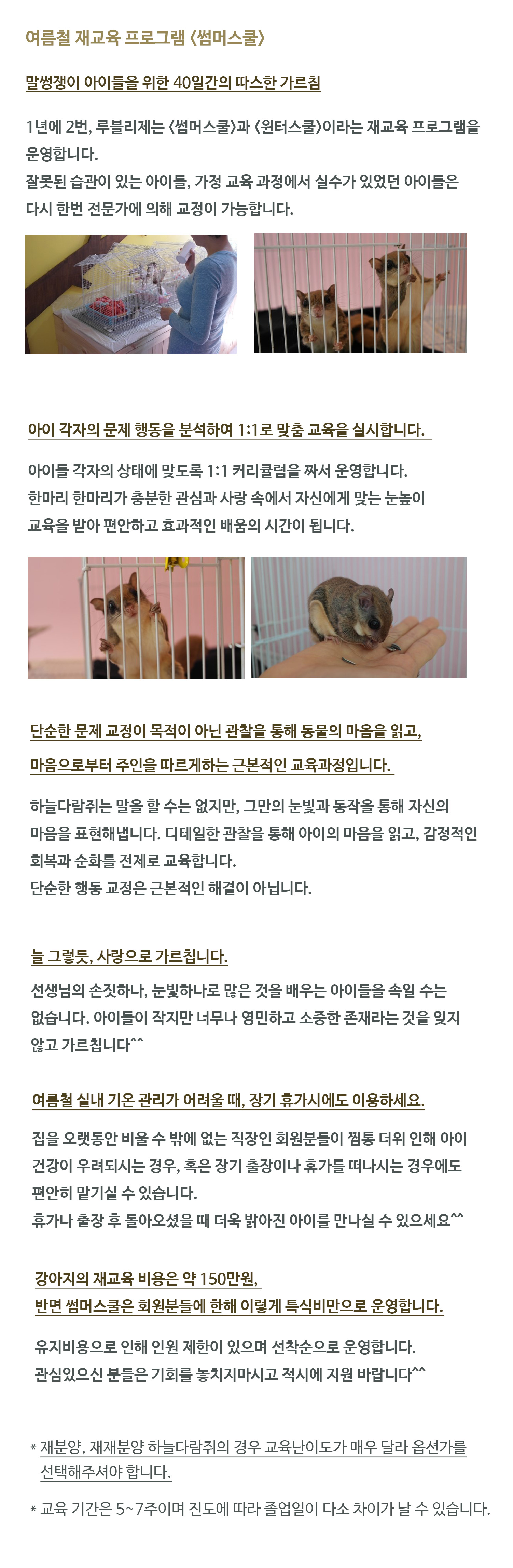 썸머스쿨포토샵_루블리제.jpg