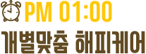 1pm 개별맞춤 해피케어